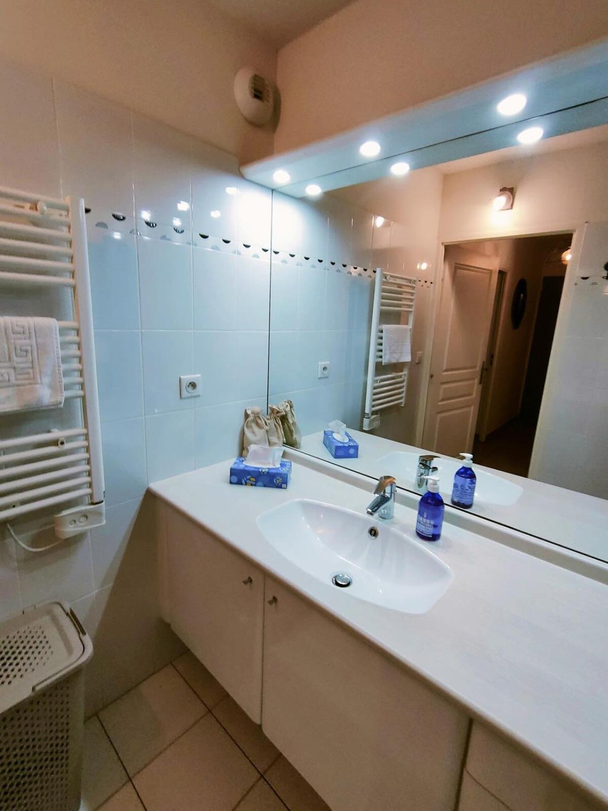 Apartment With Pool Air Conditioning Wifi And Garage Collioure Kültér fotó